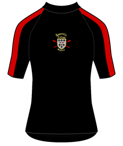 Performance Tee SS Stripe