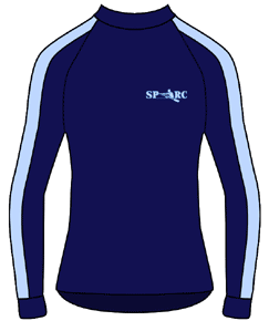 Performance Tee LS Stripe