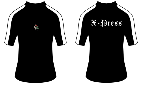 Performance Tee SS Stripe