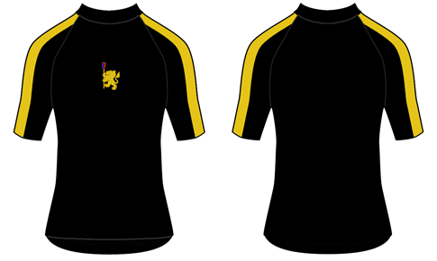 Performance Tee SS Stripe