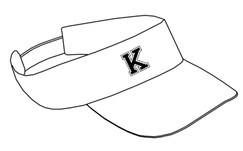 Visor