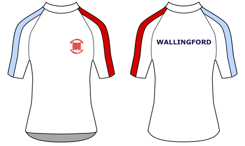 Performance Tee SS Stripe