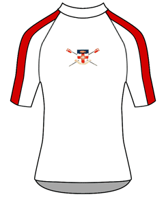 Training - Performance Tee SS Stripe