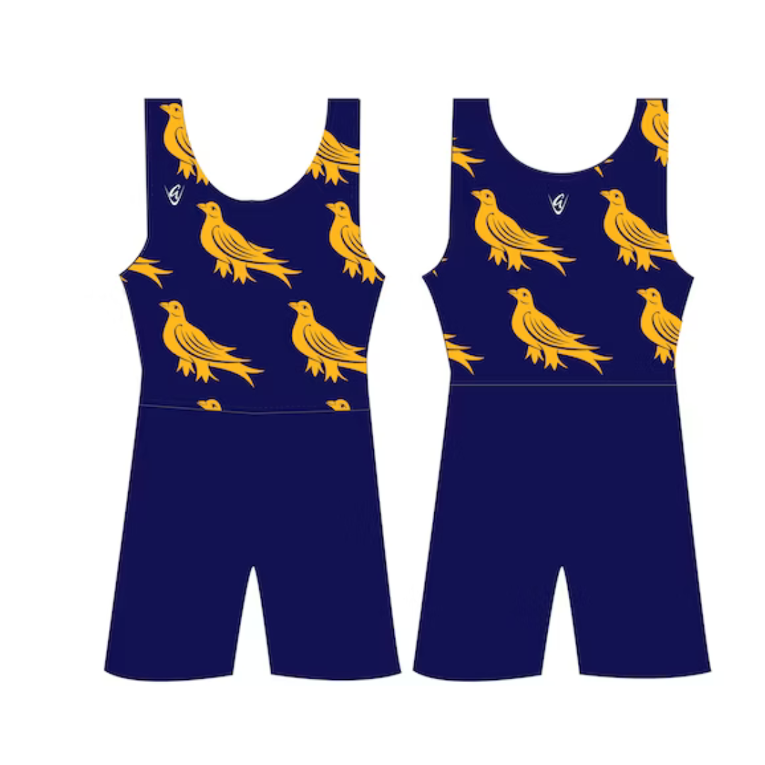 Training - Custom Hybrid AIO